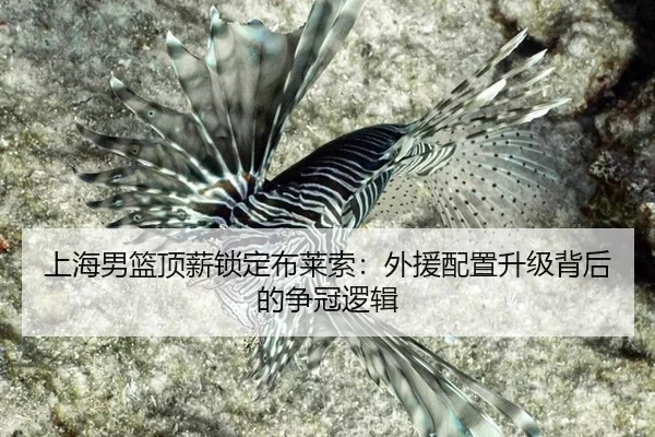 shang-hai-nan-lan-ding-xin-suo-ding-bu-lai-suo-wai-yuan-pei-zhi-sheng-ji-bei-hou-de-zheng-guan-luo-ji-2-952.jpg